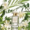 Parfémovaná voda AERIN Mediterranean Honeysuckle Tiare