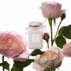 Toaletní voda AERIN Rose de Grasse Pour Filles